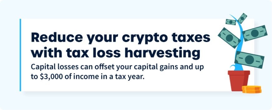 Reduce crypto tax with tax-loss harvesting 