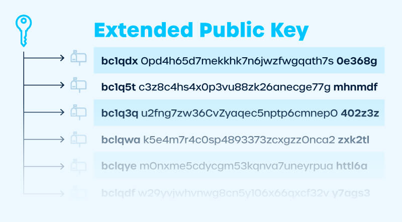 What is an extended public key