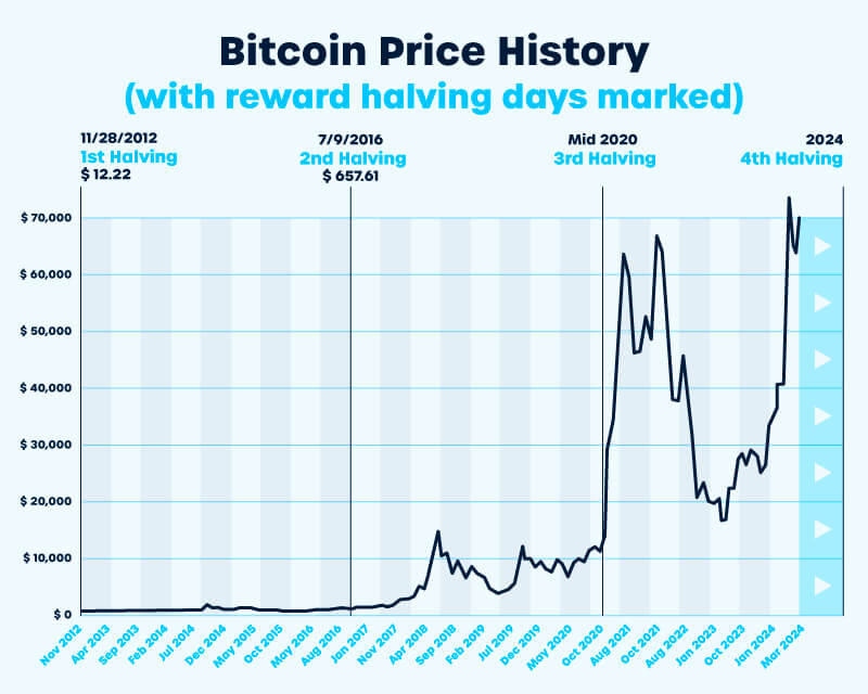Bitcoin bull market chart