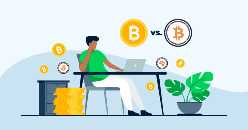 Wrapped Bitcoin vs. Bitcoin: Investor’s Guide 2024